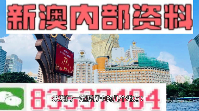 2025年新澳门王中王免费,精选解释解析落实