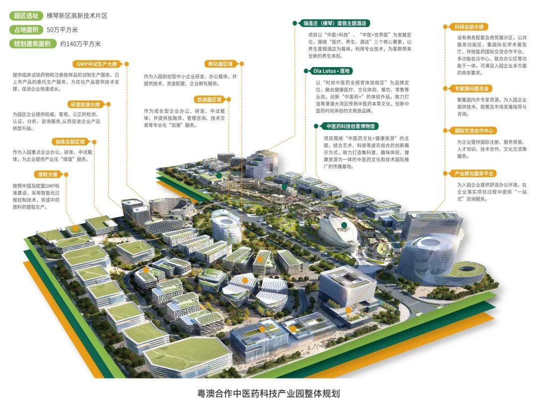 2025新澳门精准免费大全,精选解释解析落实