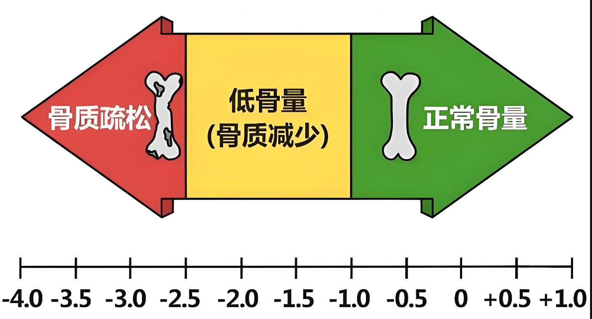 国际 第529页