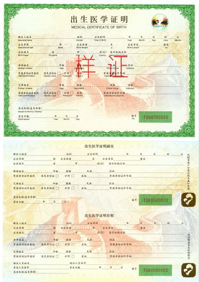 广东省计划生育登记表的深度解读与应用