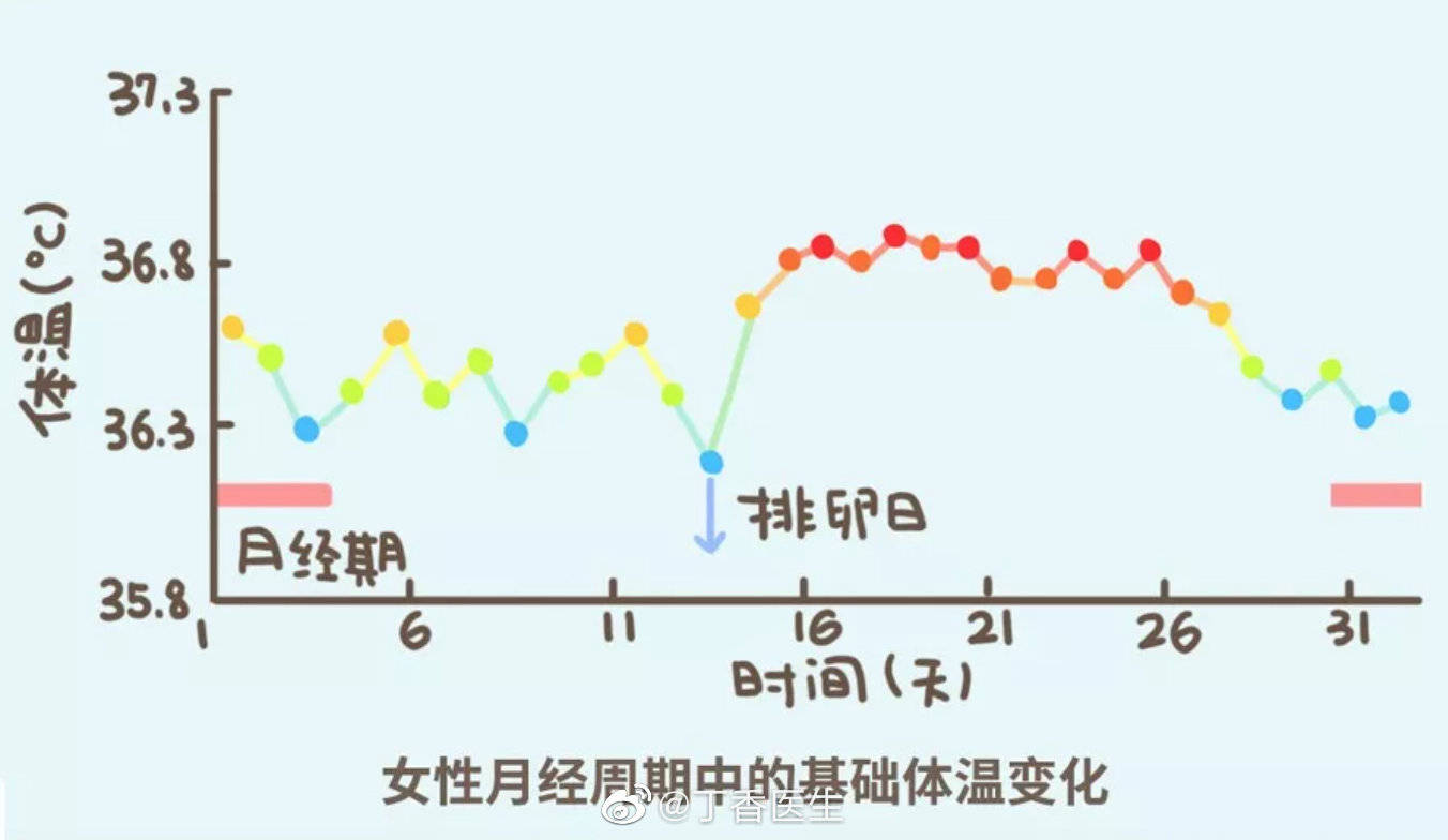 国际 第509页