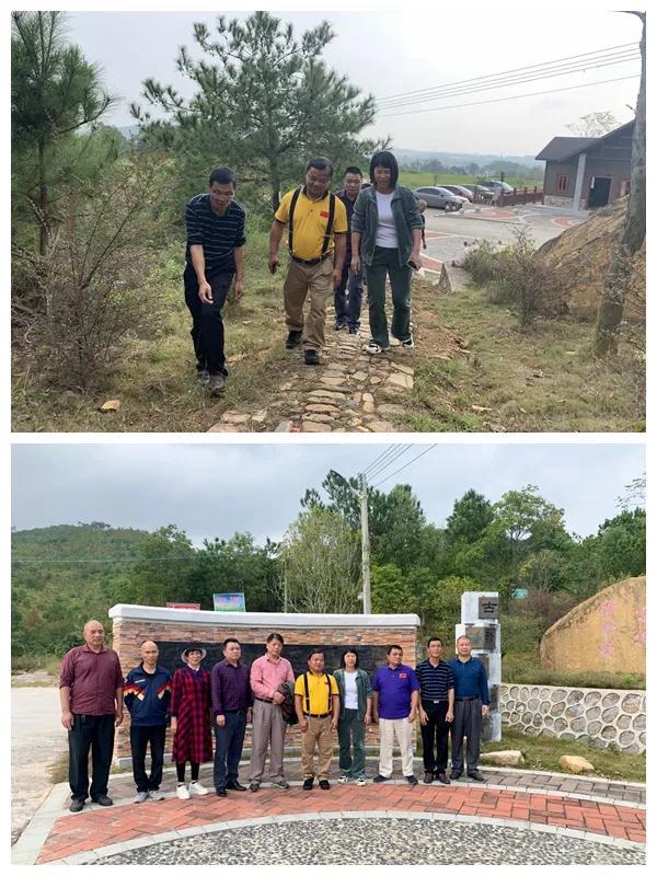 广东省连平县旅游，自然美景与文化底蕴的完美融合