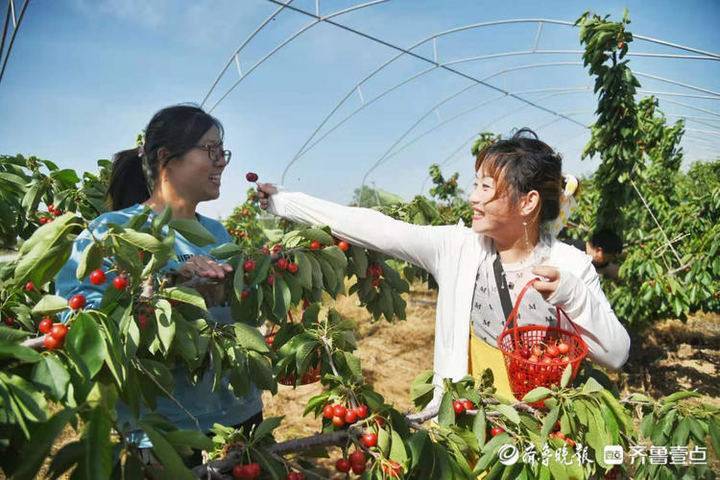 龙岩房产联合网，构建智慧房产新生态