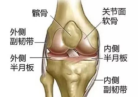 膝关节置换后疼痛期，了解与应对