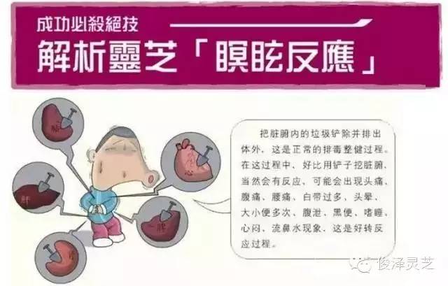 腹泻困扰持续两个月，探寻原因与解决方案