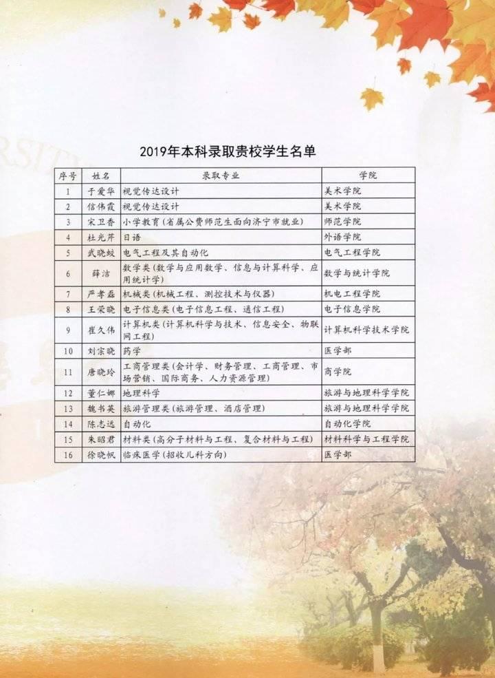 广东文心网络有限公司，探索数字时代的卓越之路