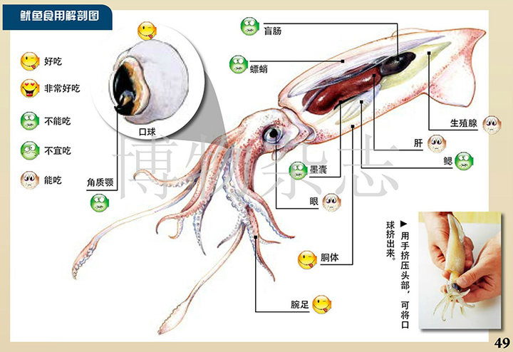 大腿环吸一个月效果图，揭示重塑魅力的神奇变化