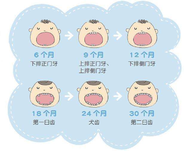 关于8个月宝宝长牙会发烧吗的探讨