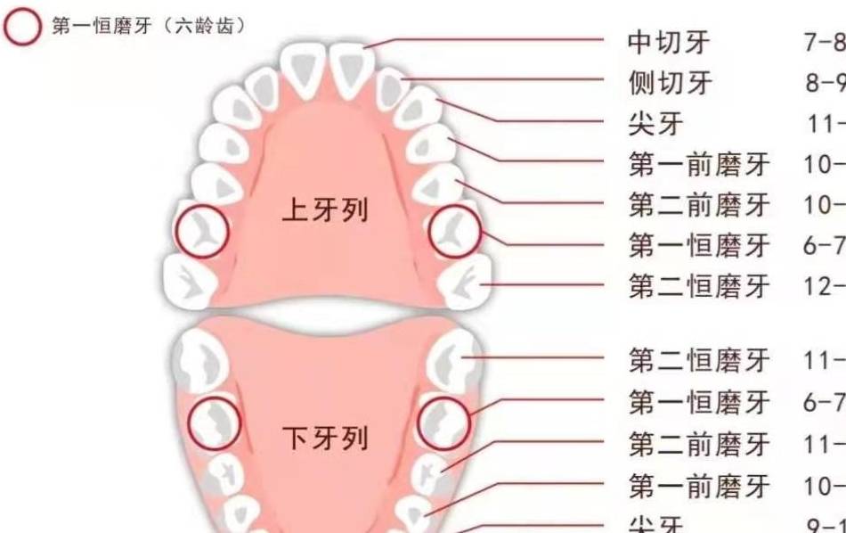 第796页