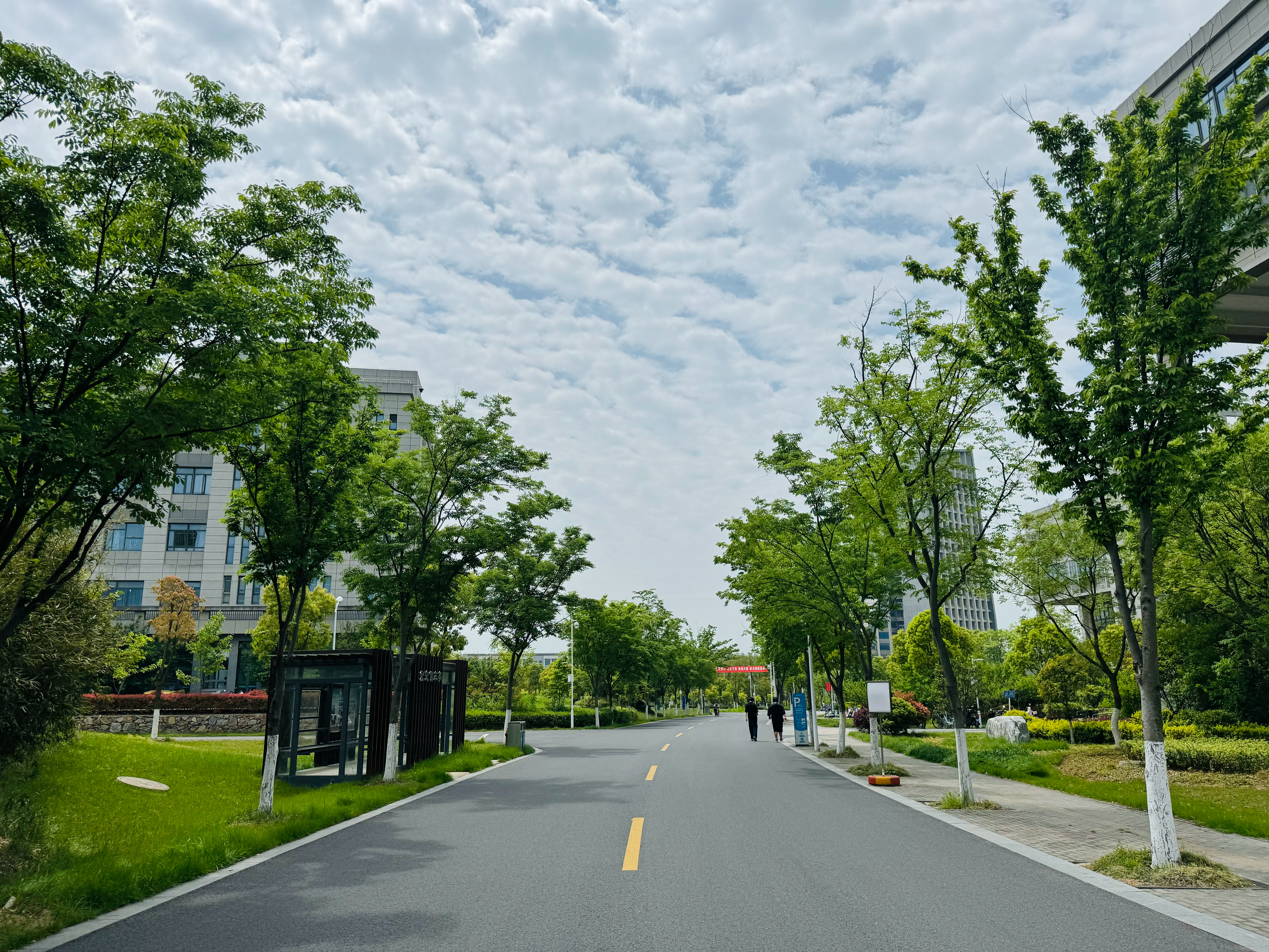 江苏科技大学南校区街道，探索与体验