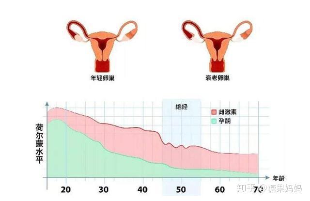 关于45岁女性一个月来两次月经的分析与探讨