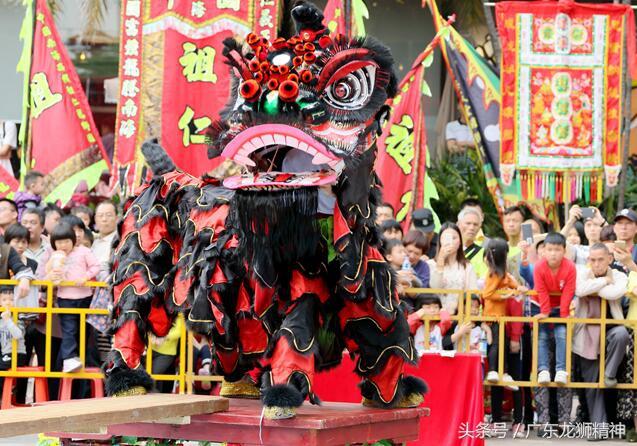 广东省狮子会，公益之光照亮南国之疆