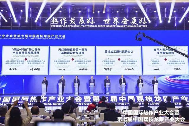 广东驾驭企业有限公司，引领企业发展的卓越力量