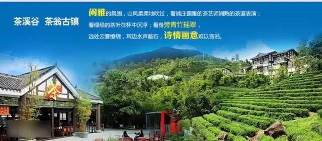 广东省双月湾别墅，探索自然与都市交融的居住新境界