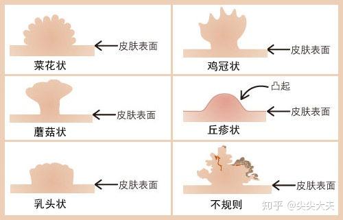 创业 第108页