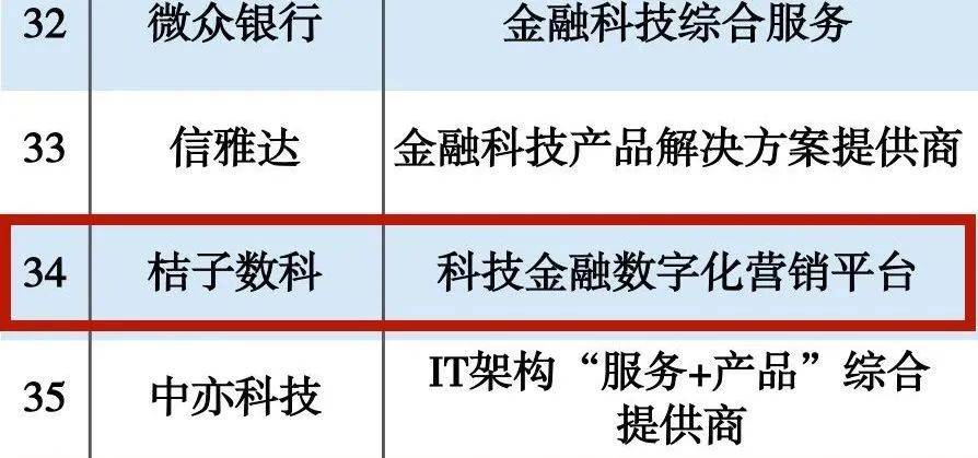 江苏橘子科技网络，引领科技创新的先锋力量