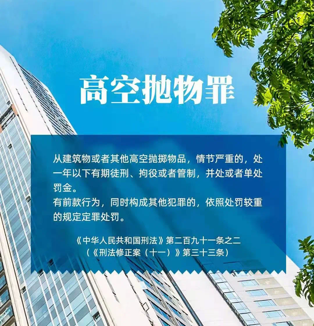 广东省防白蚁板公司，专业守护建筑与家居安全